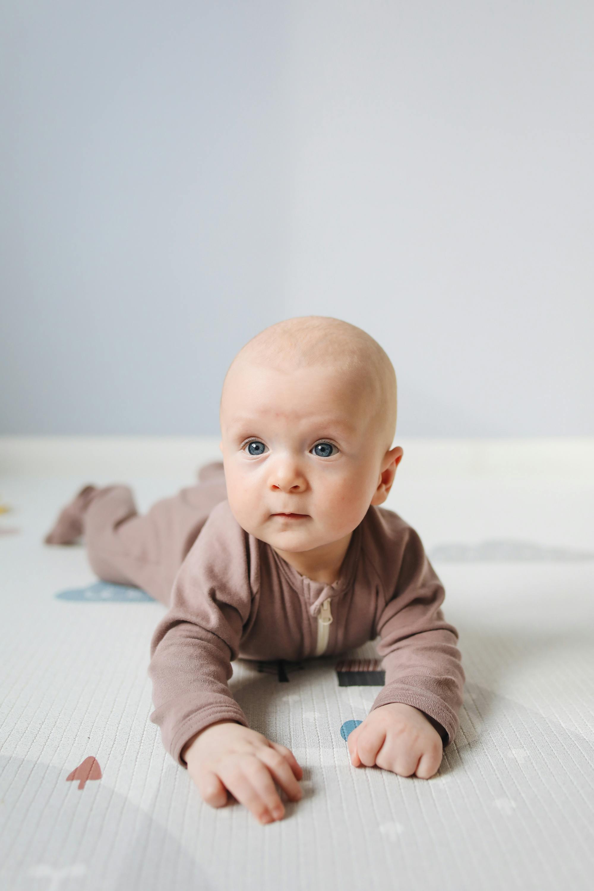 Bebés